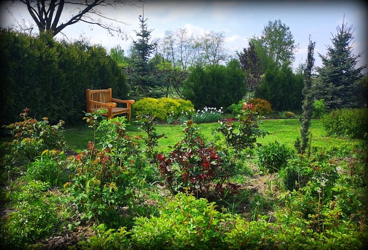 wiosenny ogród zachodni