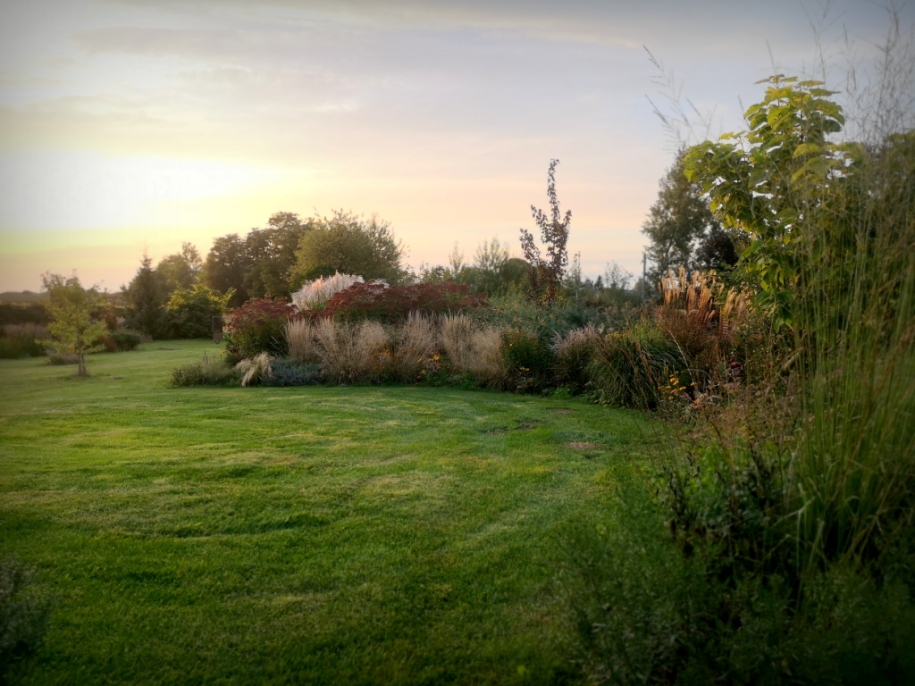 ogród preriowy najładniej prezentuje się jesienią